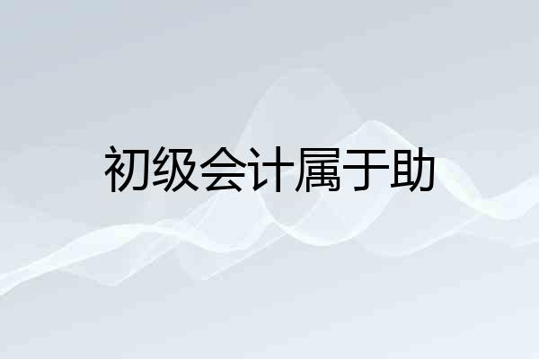 初级会计属于助