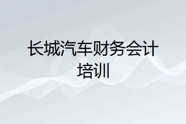 长城汽车财务会计培训