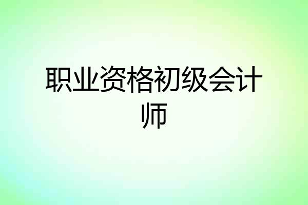 职业资格初级会计师