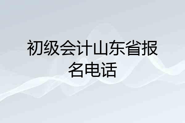 初级会计山东省报名电话