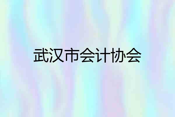 武汉市会计协会
