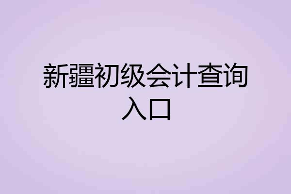 新疆初级会计查询入口