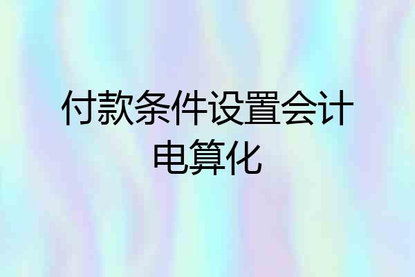 付款条件设置会计电算化