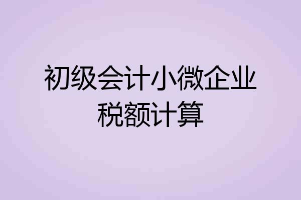 初级会计小微企业税额计算