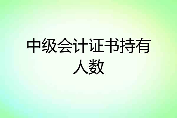 中级会计证书持有人数