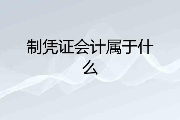制凭证会计属于什么