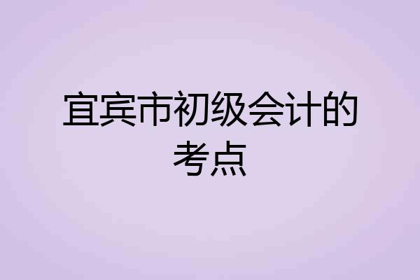 宜宾市初级会计的考点