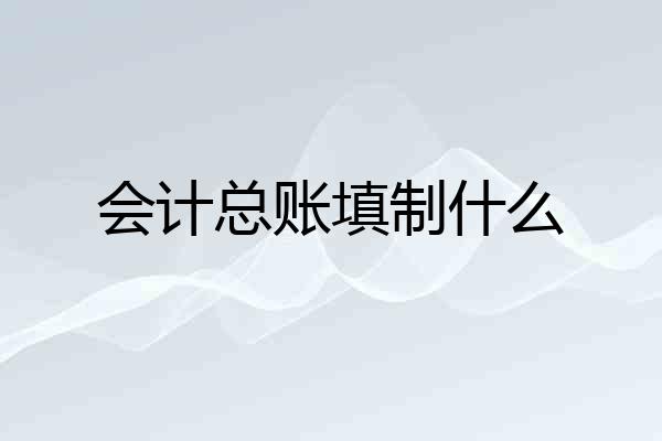 会计总账填制什么