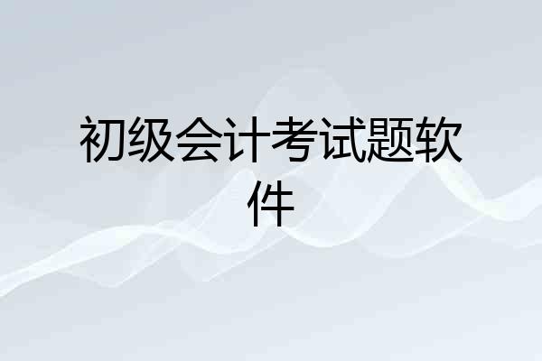 初级会计考试题软件