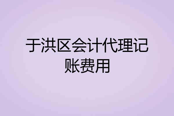 于洪区会计代理记账费用