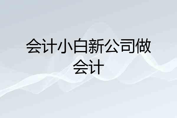 会计小白新公司做会计