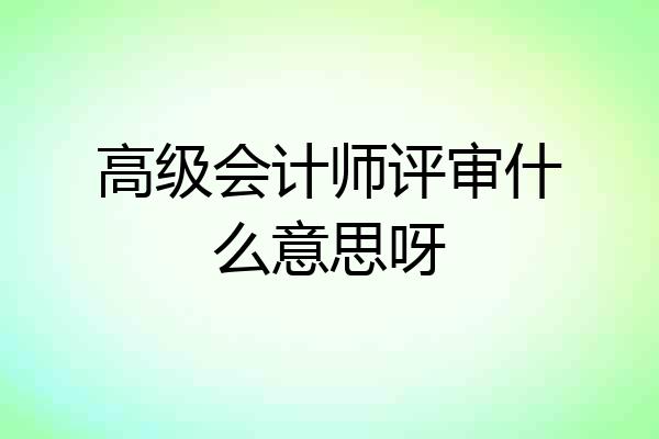 高级会计师评审什么意思呀