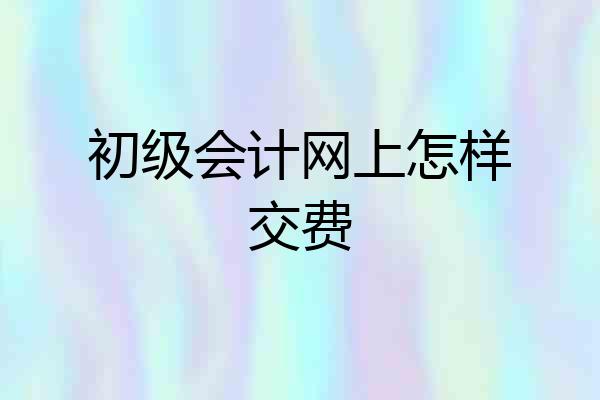 初级会计网上怎样交费