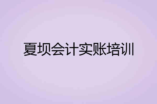 夏坝会计实账培训