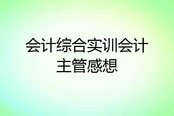 会计综合实训会计主管感想