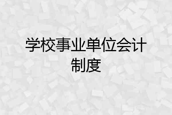 学校事业单位会计制度