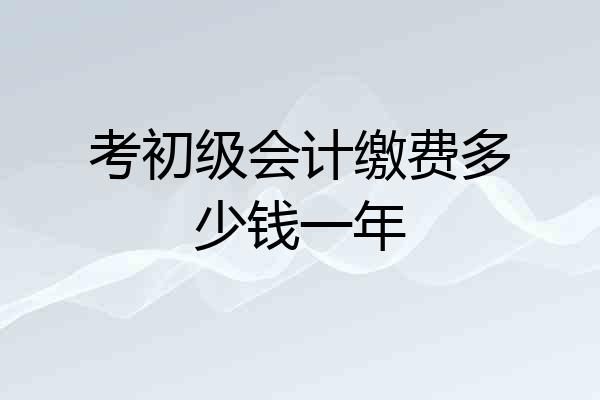 考初级会计缴费多少钱一年