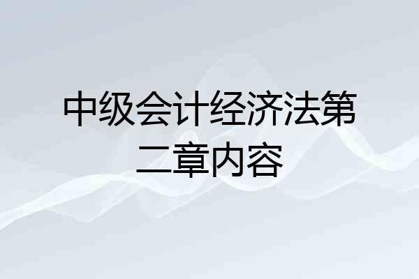 中级会计经济法第二章内容