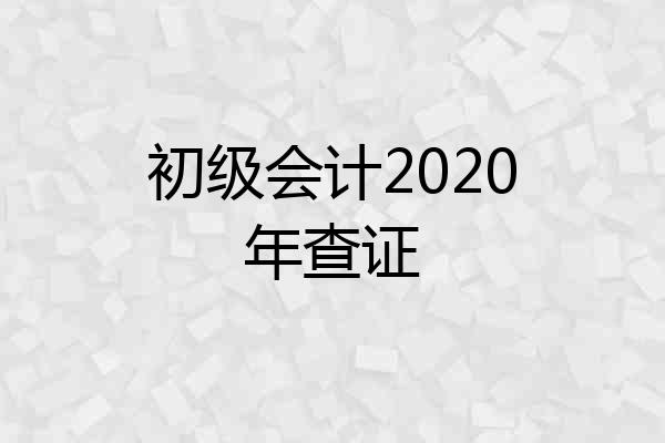 初级会计2020年查证
