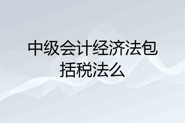 中级会计经济法包括税法么