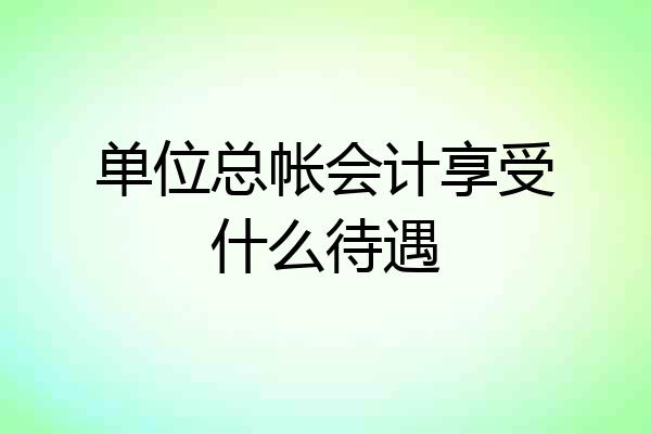 单位总帐会计享受什么待遇
