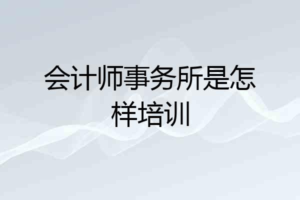 会计师事务所是怎样培训
