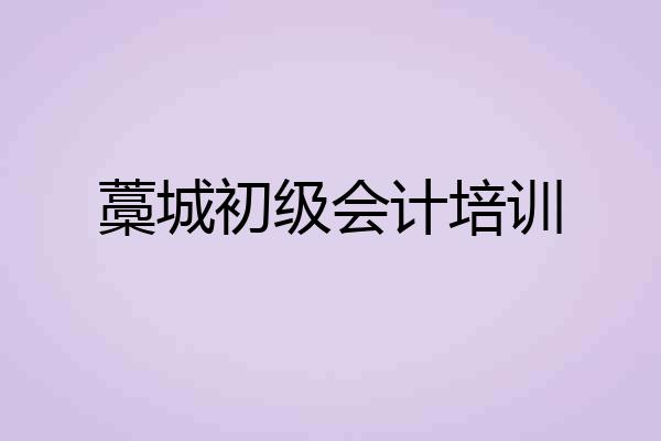 藁城初级会计培训