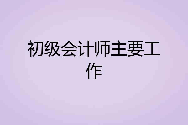 初级会计师主要工作