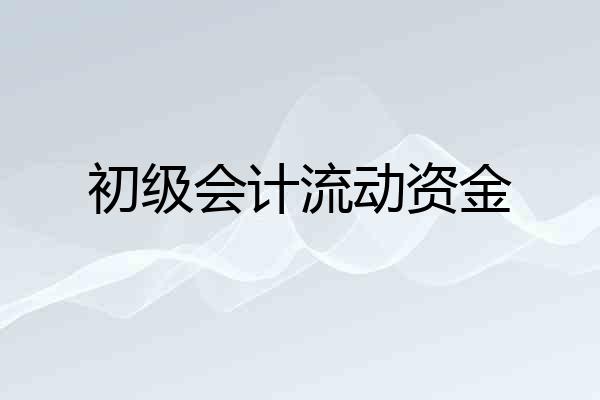 初级会计流动资金
