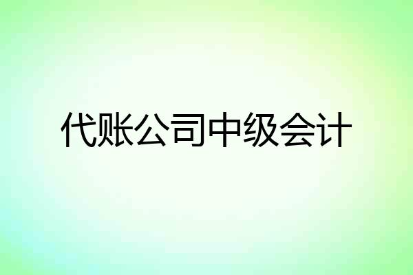 代账公司中级会计