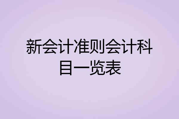 新会计准则会计科目一览表