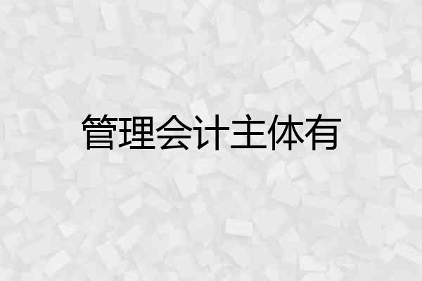 管理会计主体有