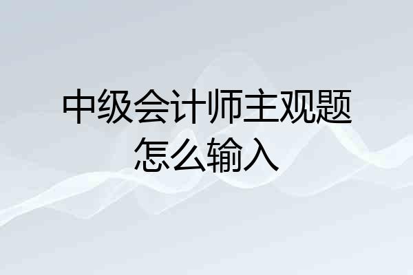 中级会计师主观题怎么输入