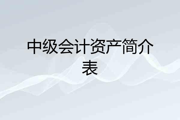 中级会计资产简介表