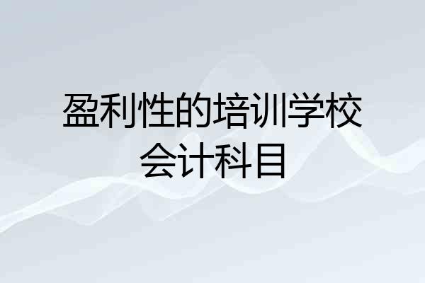 盈利性的培训学校会计科目