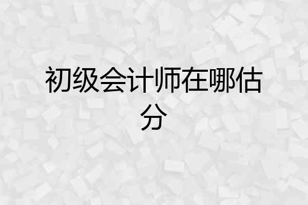 初级会计师在哪估分