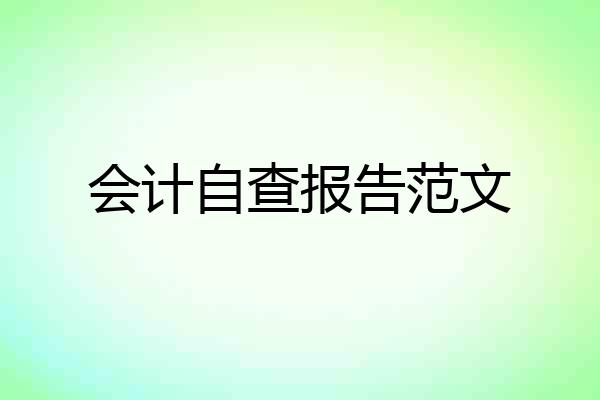 会计自查报告范文