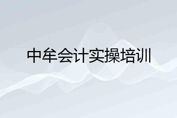 中牟会计实操培训