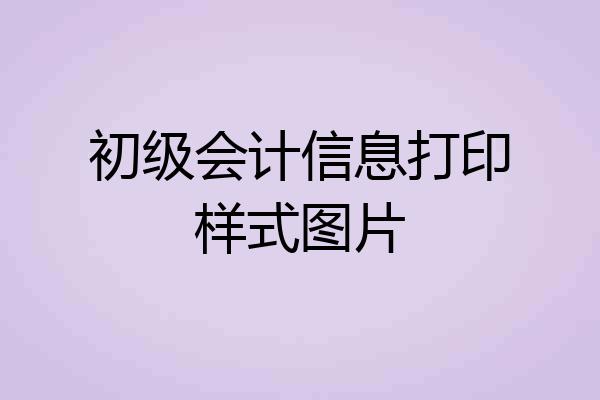 初级会计信息打印样式图片