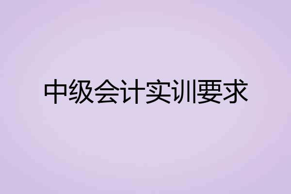 中级会计实训要求
