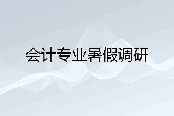 会计专业暑假调研