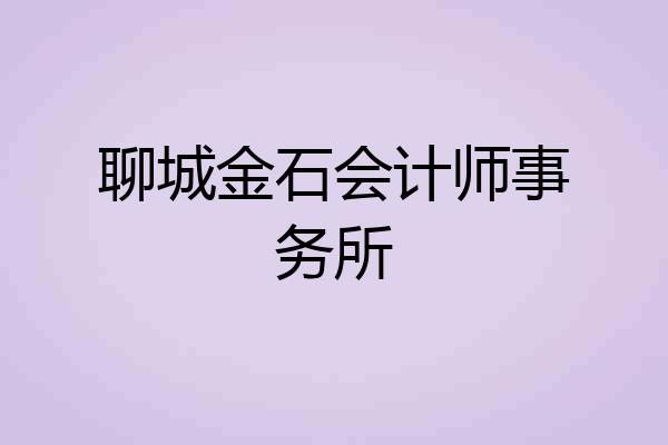 聊城金石会计师事务所
