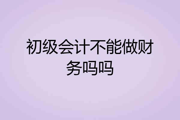 初级会计不能做财务吗吗