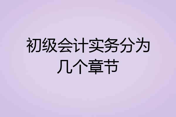 初级会计实务分为几个章节