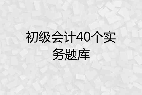初级会计40个实务题库