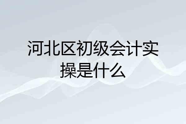 河北区初级会计实操是什么
