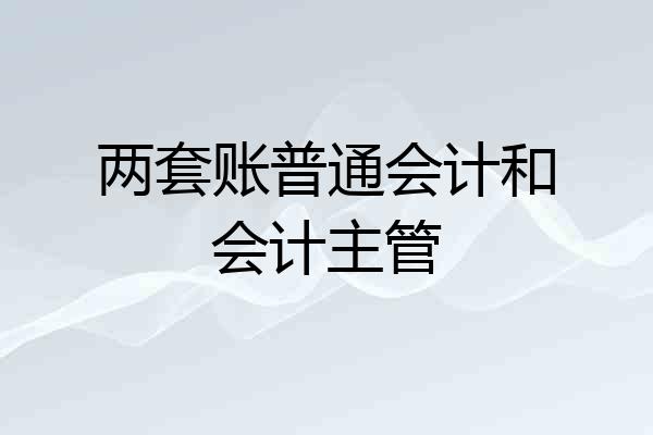 两套账普通会计和会计主管