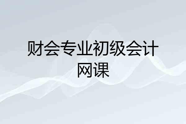 财会专业初级会计网课