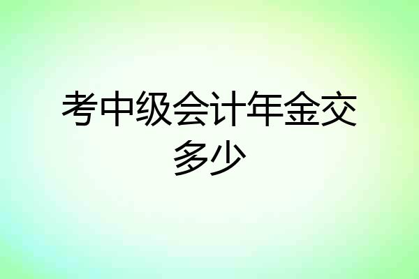 考中级会计年金交多少