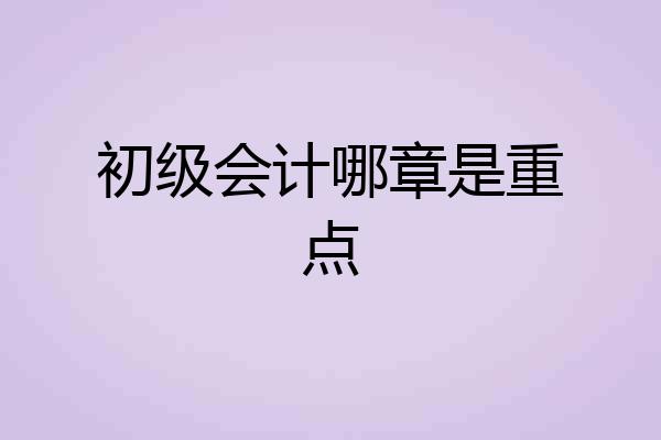 初级会计哪章是重点